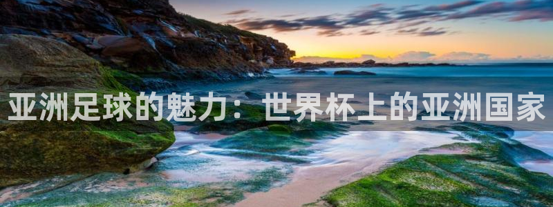 世界杯时间:亚洲足球的魅力:世界杯上的亚洲国家