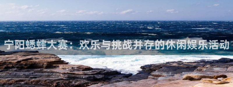 2026世界杯足球赛程时间表:宁阳蟋蟀大赛:欢乐与挑战并存的休闲娱乐活动