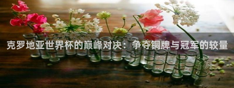 世界杯预选赛欧洲赛区赛程:克罗地亚世界杯的巅峰对决:争夺铜牌与冠军的较量
