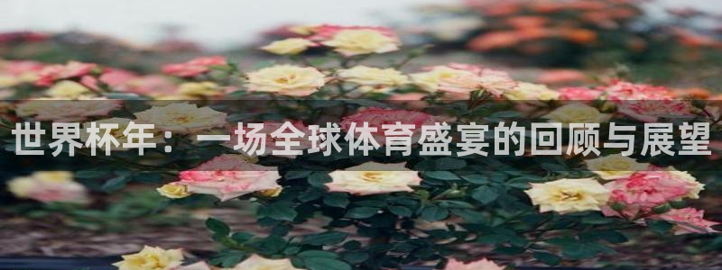 世界杯48支球队赛制:世界杯年:一场全球体育盛宴的回顾与展望