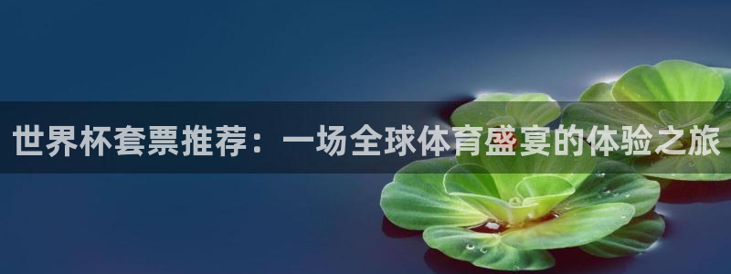 世界杯比赛直播:世界杯套票推荐:一场全球体育盛宴的体验之旅