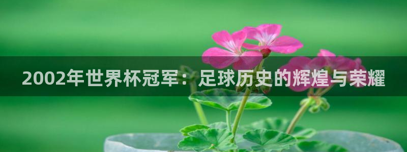 美洲杯直播:2002年世界杯冠军:足球历史的辉煌与荣耀