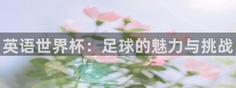 亚洲杯比赛直播:英语世界杯:足球的魅力与挑战