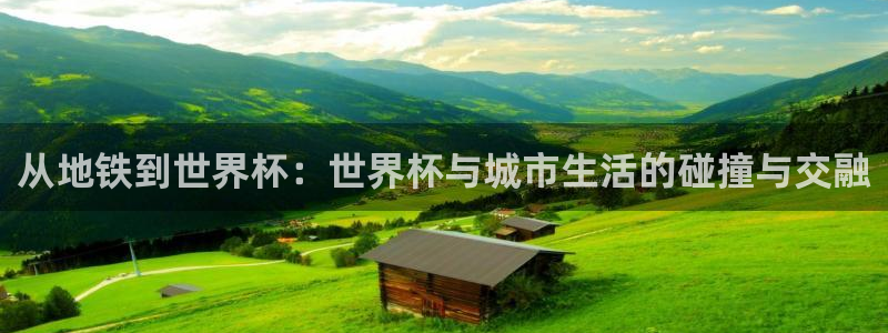 世界杯足球赛2026:从地铁到世界杯:世界杯与城市生活的碰撞与交融