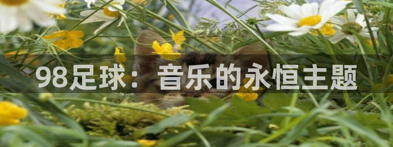 2026世界杯32强对阵图表:98足球:音乐的永恒主题