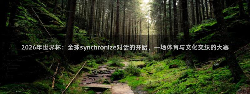 世界杯直播时间:2026年世界杯:全球synchronize对话的开始,一场体育与文化交织的大赛